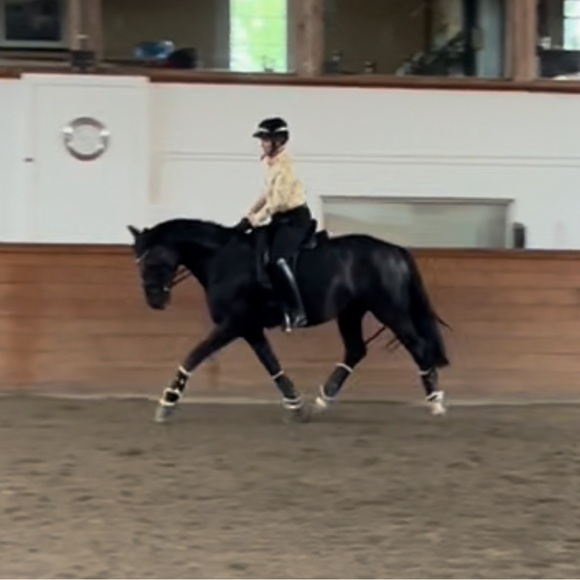 Meet your Posher, Leanne - Picture 2 of 2